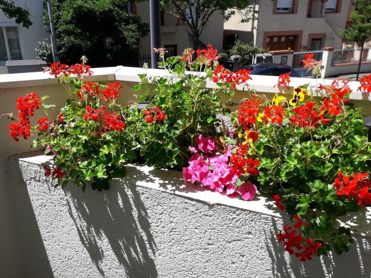 :) Grand Studio Lumineux A Toulouse Et Parking Exterior foto